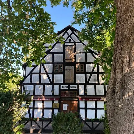 Witkacy B&B